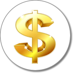 Aporte de capital internacional.